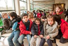 Conciertos Escolares