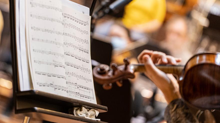 Euskadiko Orkestra saca a concurso una plaza de concertino y dos de viola tutti