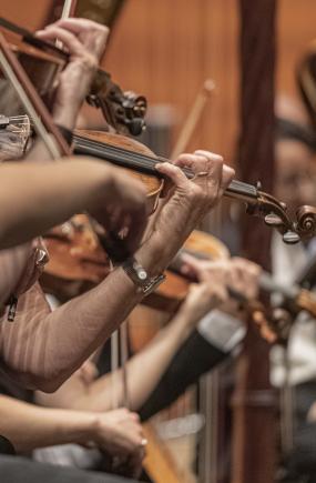 Audición para selección de colaboradoras/es de violín